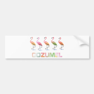 March of the Tropical Flamingos COZUMEL Bumper Sticker