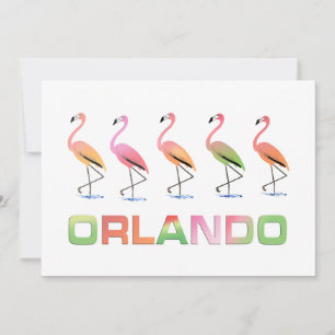 March of the Tropical Flamingos ORLANDO Invitation