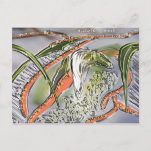 march postcard