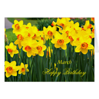 Daffodils Happy Birthday Cards & Invitations | Zazzle.co.uk