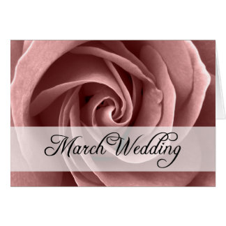 March Wedding : rose of the season :