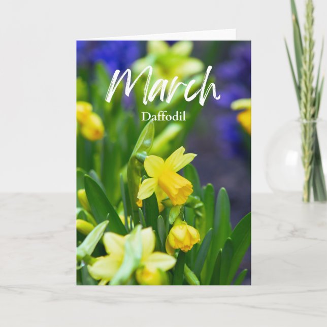 March Yellow Daffodil Birth Month Flower Birthday Card (Front)