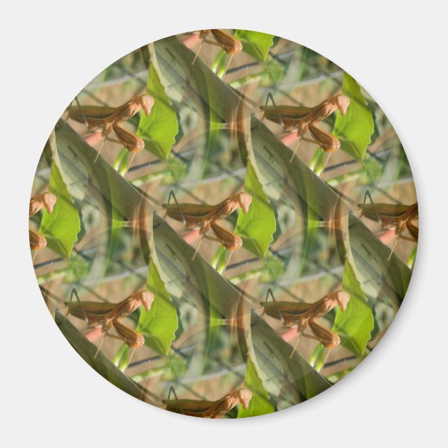 Marchin' On.... Magnet (Front)