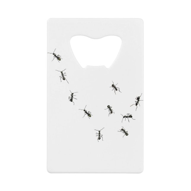 marching ants (Front)