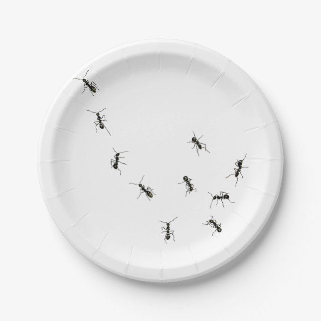 marching ants paper plate (Front)