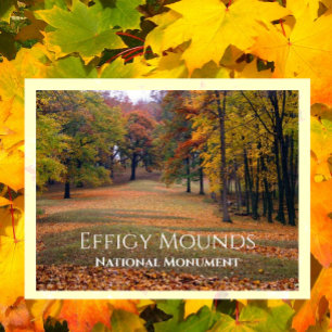 Marching Bear Mound, Autumn, Effigy Mounds Postcard
