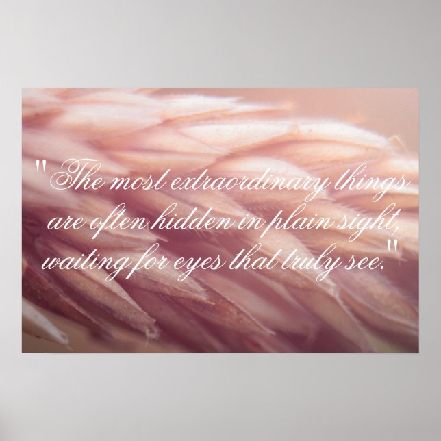 Marco Grain Wheat Print (Front)