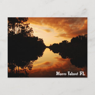 Marco Island FL Postcard