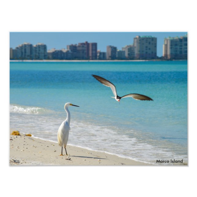 Marco Island Photo Print (Front)