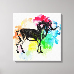 Marco polo sheep canvas print