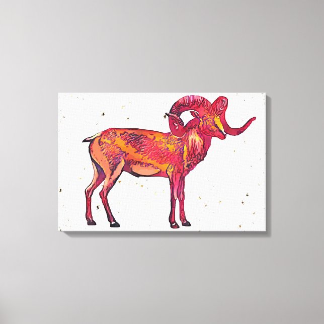 Marco polo sheep canvas print (Front)