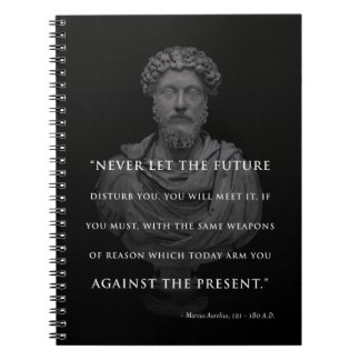 Marcus Aurelius Journal