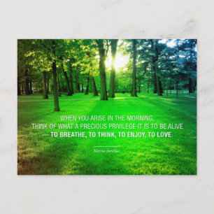 Marcus Aurelius Life Stoic Privilege quote Life Postcard