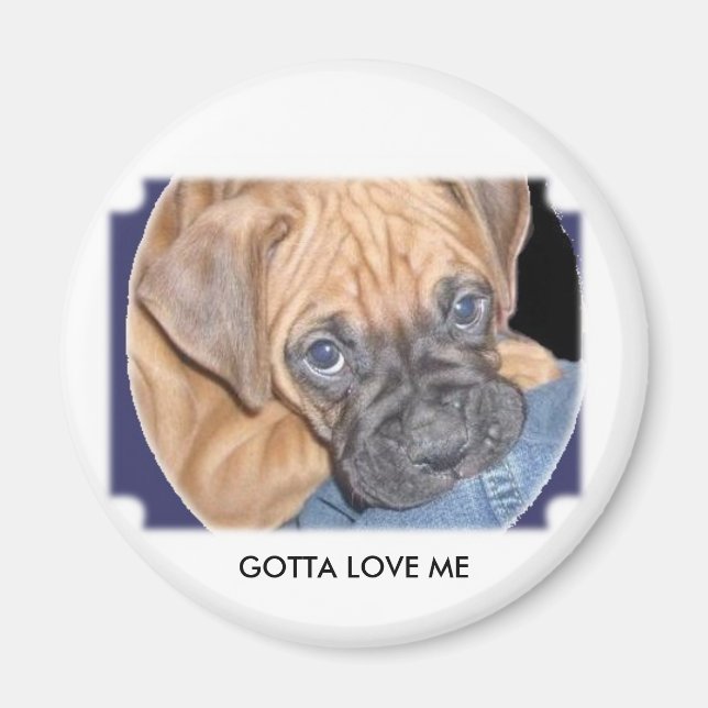 marcys dog here, GOTTA LOVE ME Magnet (Front)