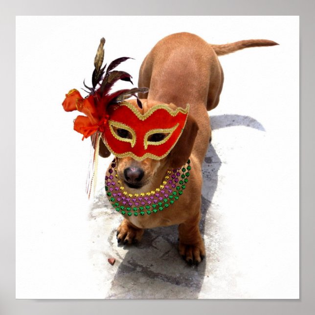 Mardi Gras Dachshund poster (Front)