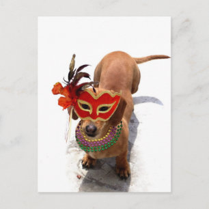 Mardi Gras Dachsund dog Postcard