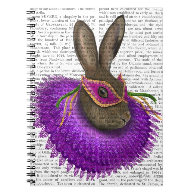 Mardi Gras Hare 2 Notebook (Front)