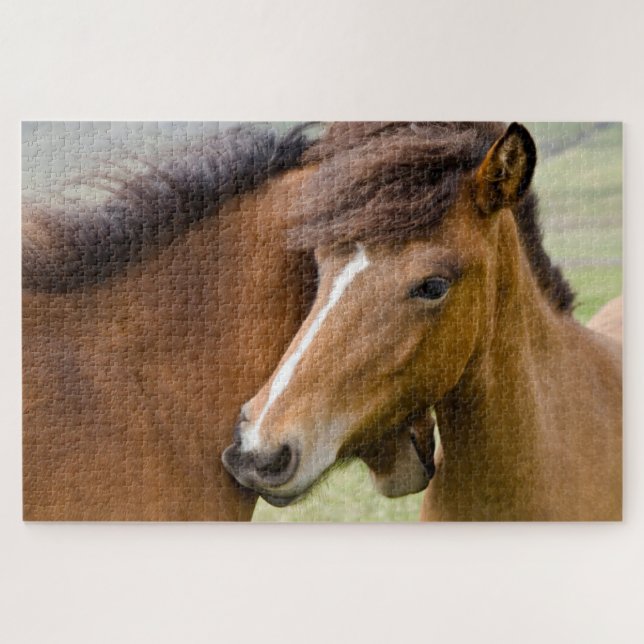 Mare And Colt Jigsaw Puzzle (Horizontal)