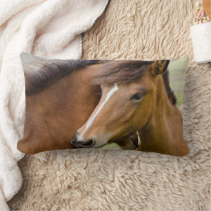 Mare And Colt Lumbar Cushion