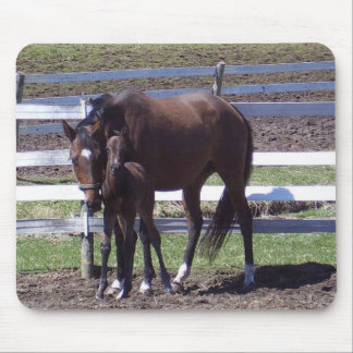 Mare and colt mouse mat