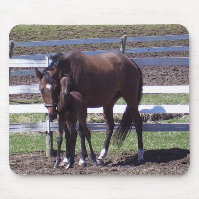 Mare and colt mouse mat (Front)