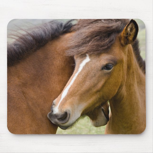 Mare And Colt Mouse Mat (Front)