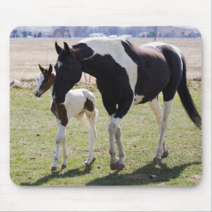 Mare and Filly Walking Mouse Mat