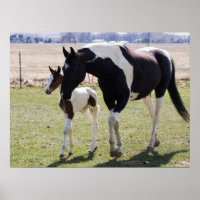 Mare and Filly Walking