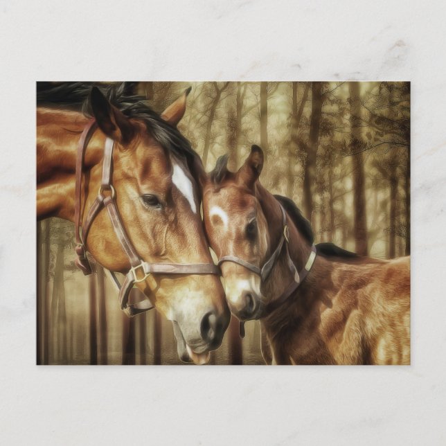 Mare and Foal - Horse Lovers Art Postcard (Front)