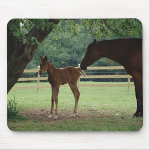 Mare and Foal Under Tree Mouse Mat