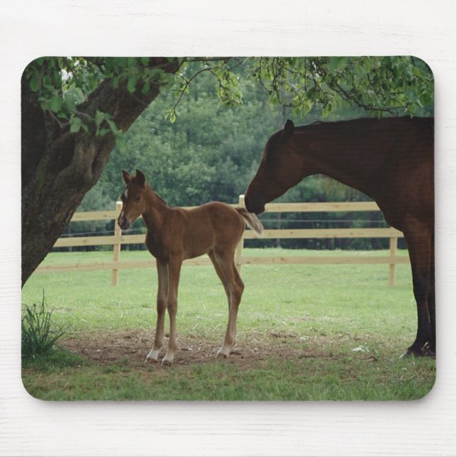 Mare and Foal Under Tree Mouse Mat (Front)
