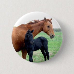Mare and Her Colt 6 Cm Round Badge