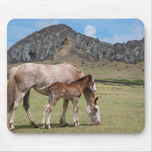 Mare & Colt at Volcanic Crater of Rano Raraku Mouse Mat