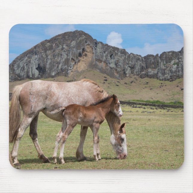Mare & Colt at Volcanic Crater of Rano Raraku Mouse Mat (Front)