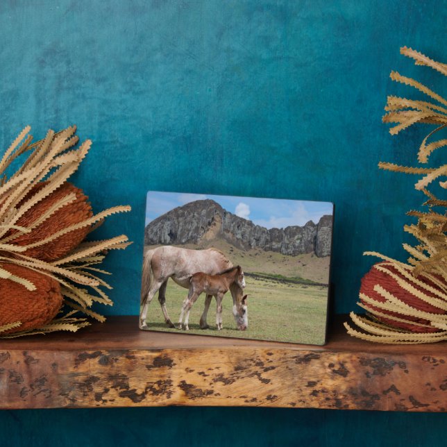 Mare & Colt at Volcanic Crater of Rano Raraku Plaque (Side)