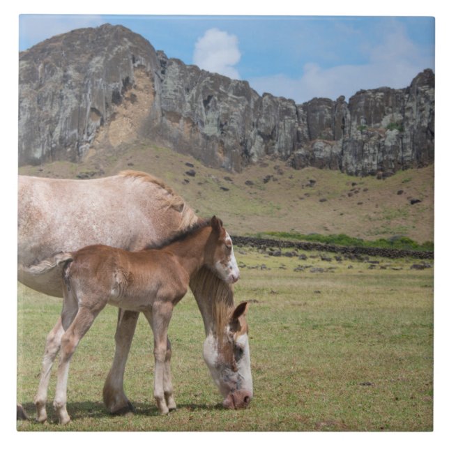 Mare & Colt at Volcanic Crater of Rano Raraku Tile (Front)