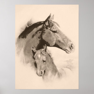 Mare-n-Foal with charcoal effect-tint Poster