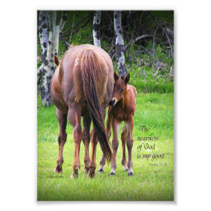 Mare With Colt - Nearness of God 5 x 7 print