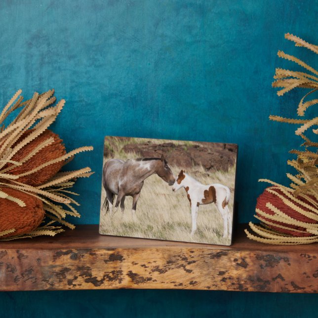 Mare with Colt Plaque (Side)