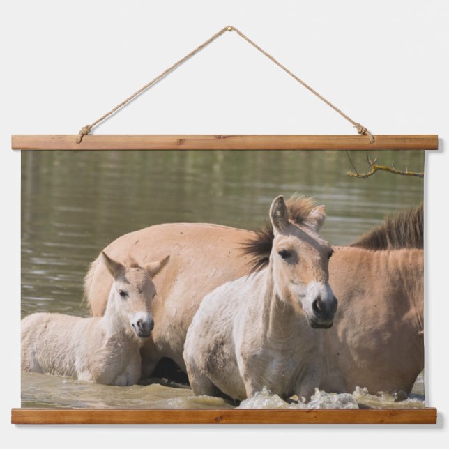 Mare with Foal Crossing a River Hanging Tapestry (Front)
