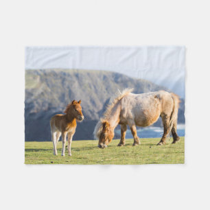 Mare with Foal, Shetland islands, Scotland Fleece Blanket