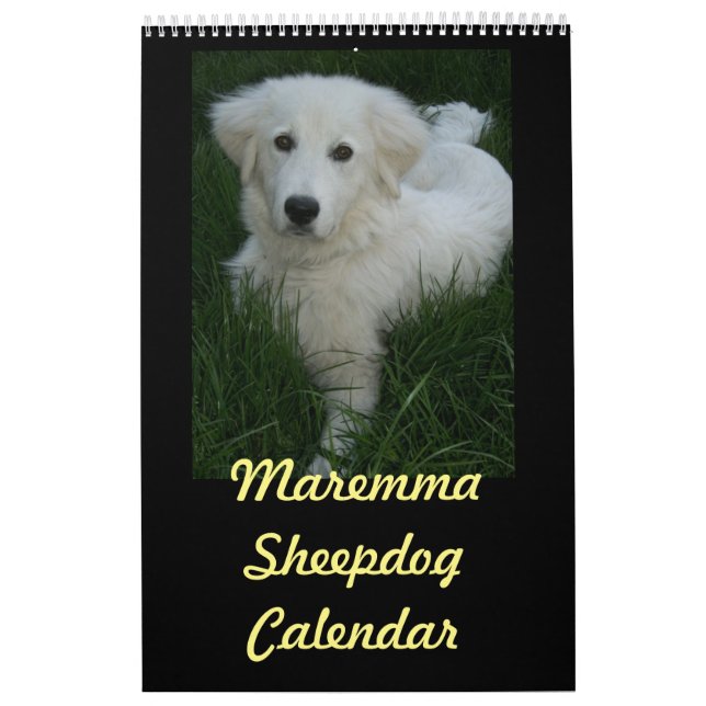 Maremma Sheepdog Calendar (Cover)