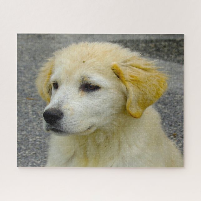Maremma Sheepdog. Jigsaw Puzzle (Horizontal)