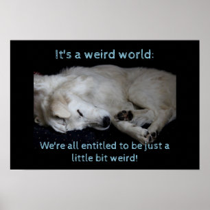 Maremma sheepdog weird world poster