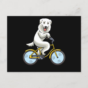 Maremmano Abruzzese Sheepdog Dog Bicycle Cyclist Postcard