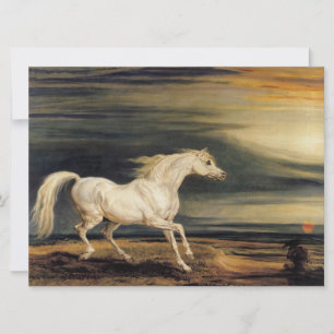 Marengo the White Horse Card