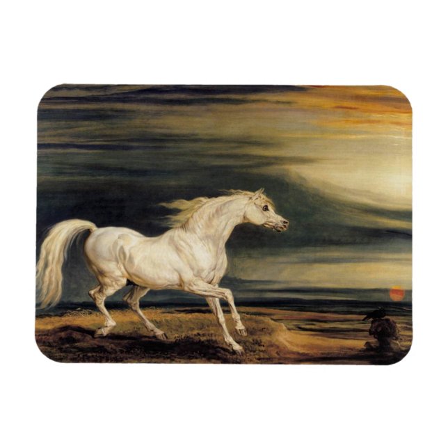 Marengo the White Horse Magnet (Horizontal)