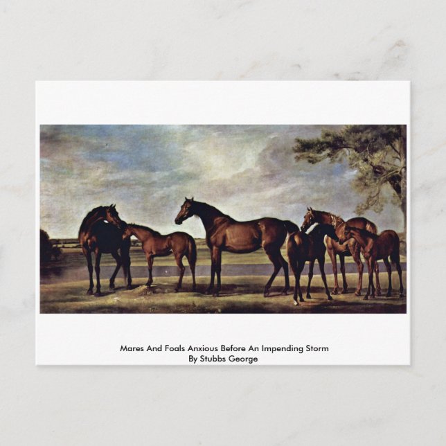 Mares And Foals Anxious Before An Impending Storm Postcard (Front)