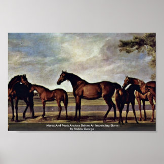 Mares And Foals Anxious Before An Impending Storm Poster
