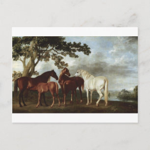Mares and Foals in a River Landscape George Stubbs Postcard